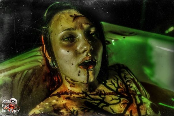 Adam Pixel Horrography - model Ashen Falls 2